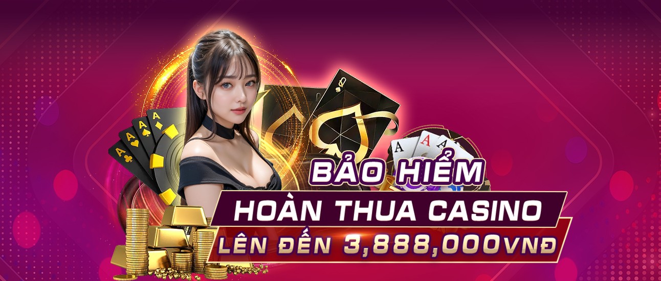 Hình ảnh quảng cáo của vf555 hiển thị nền tảng và các lợi ích
