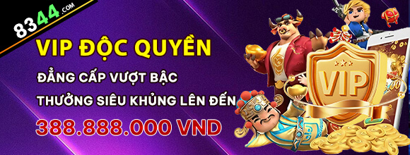Hình ảnh quảng cáo của vf555 hiển thị nền tảng và các lợi ích