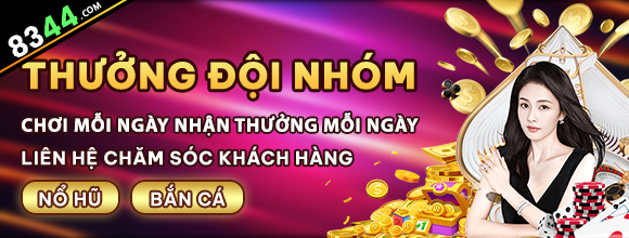 Hình ảnh quảng cáo của vf555 hiển thị nền tảng và các lợi ích