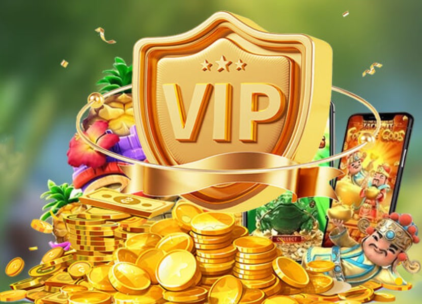 Hình ảnh quảng cáo của vf555 hiển thị nền tảng và các lợi ích
