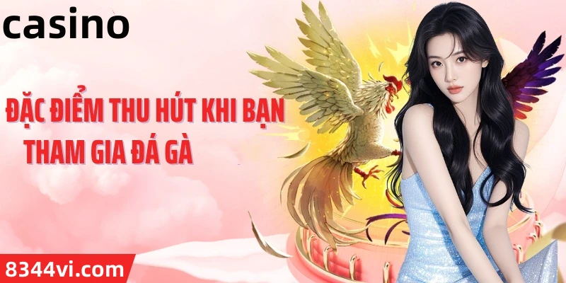 Hình ảnh quảng cáo của vf555 hiển thị nền tảng và các lợi ích
