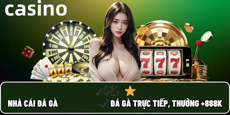 Hình ảnh quảng cáo của vf555 hiển thị nền tảng và các lợi ích