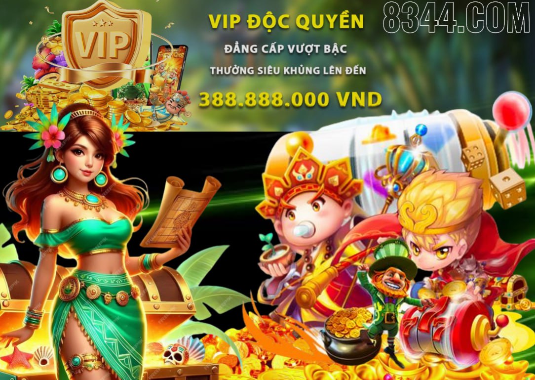 Hình ảnh quảng cáo của vf555 hiển thị nền tảng và các lợi ích