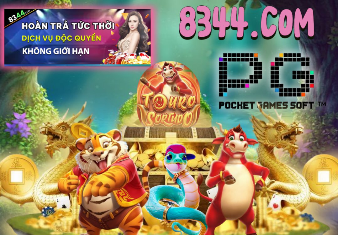 Hình ảnh quảng cáo của vf555 hiển thị nền tảng và các lợi ích