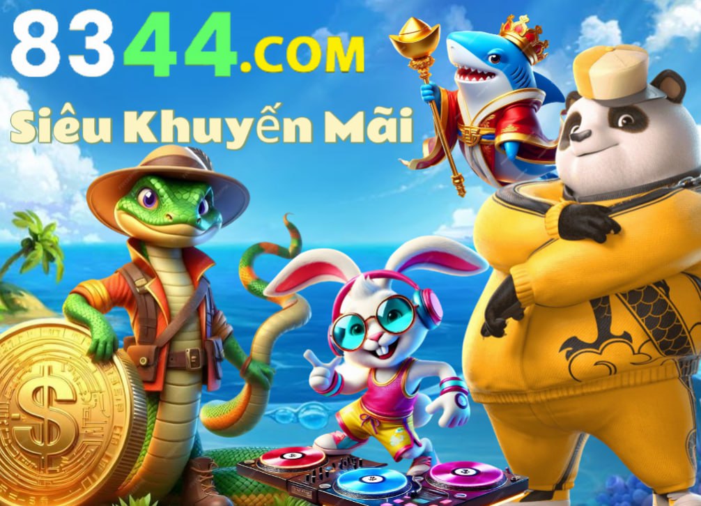 Hình ảnh quảng cáo của vf555 hiển thị nền tảng và các lợi ích