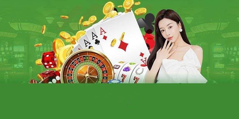 Hình ảnh quảng cáo của vf555 hiển thị nền tảng và các lợi ích